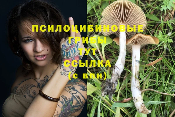 ALPHA PVP Медногорск