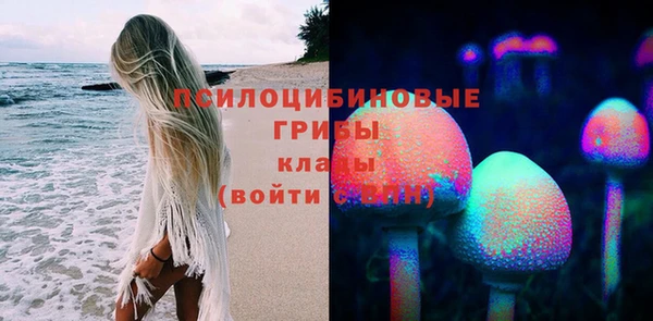 ALPHA PVP Медногорск
