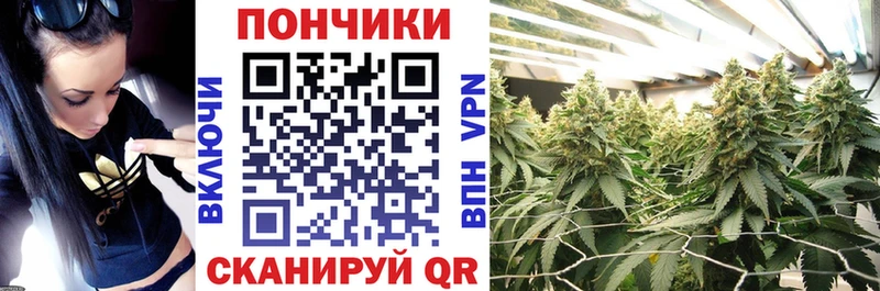 Шишки марихуана марихуана  Нижнекамск 